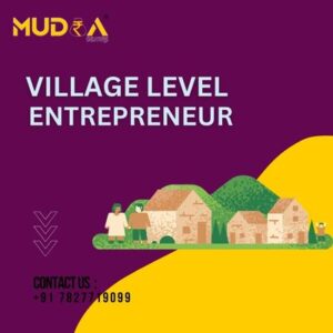 village level entrepreneur